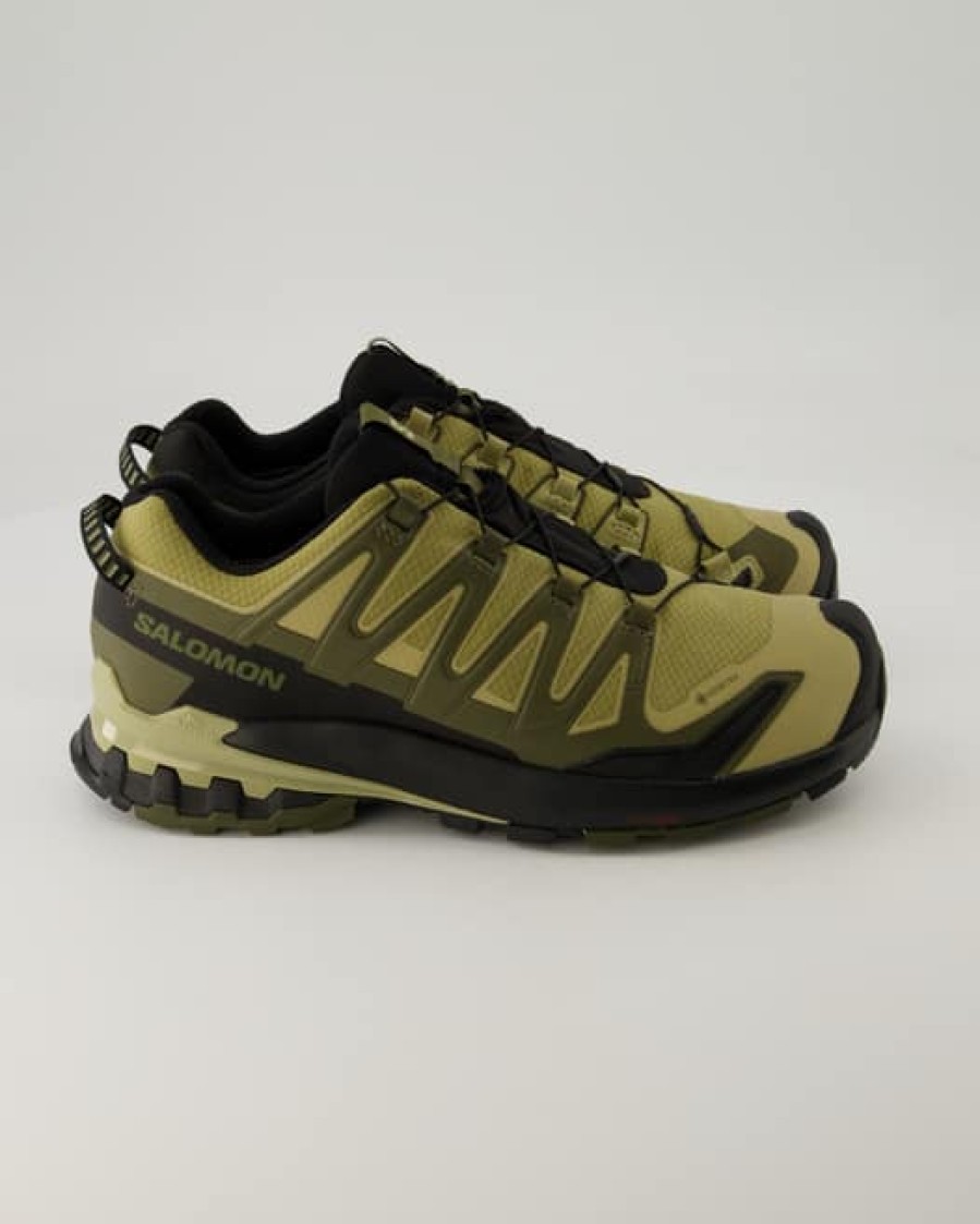 Herren Salomon Gore-Tex Schuhe | Xa Pro 3D V9