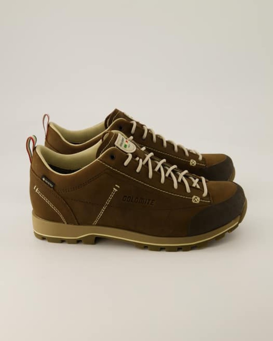 Herren Dolomite Gore-Tex Schuhe | Low Fg Gtx