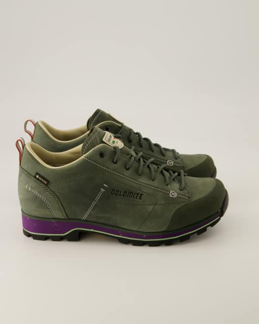 Damen Dolomite Outdoor- & Wanderschuhe | Low Fg Evo Gtx