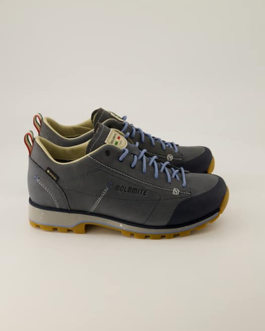 Damen Dolomite Outdoor- & Wanderschuhe | Low Fg Evo Gtx