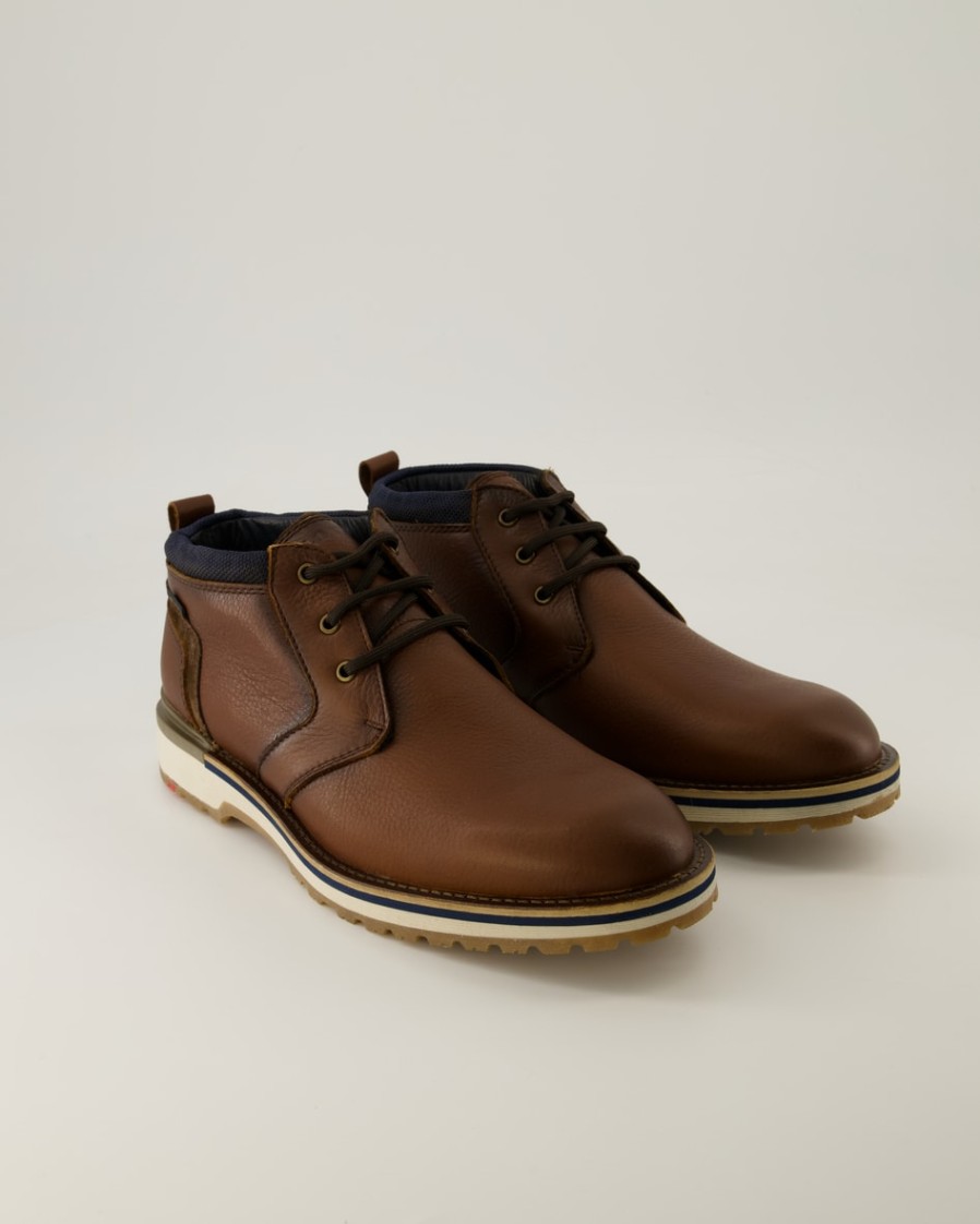 Herren Lloyd Stiefeletten & Boots | Vegas